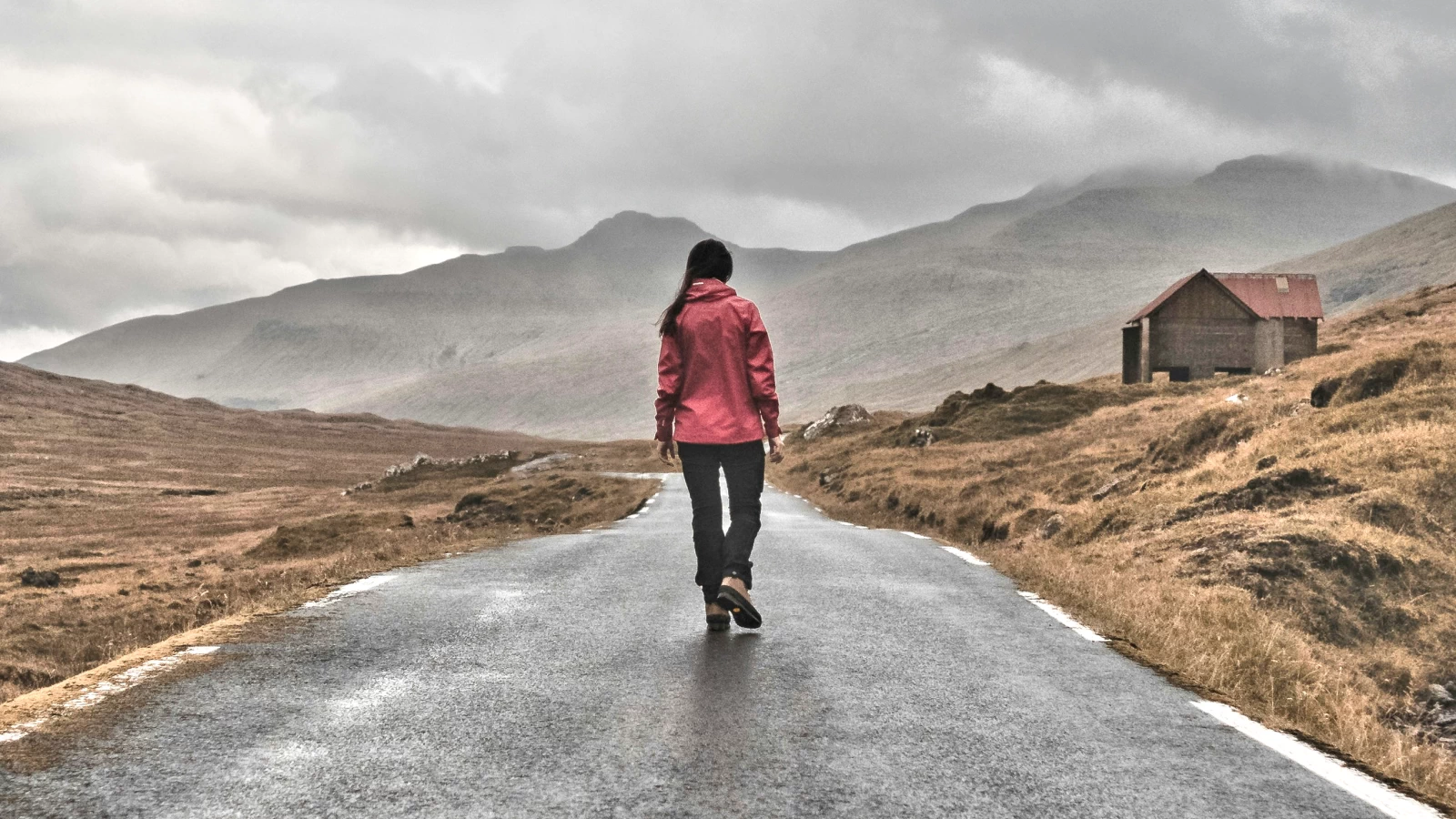 Writer's Journey